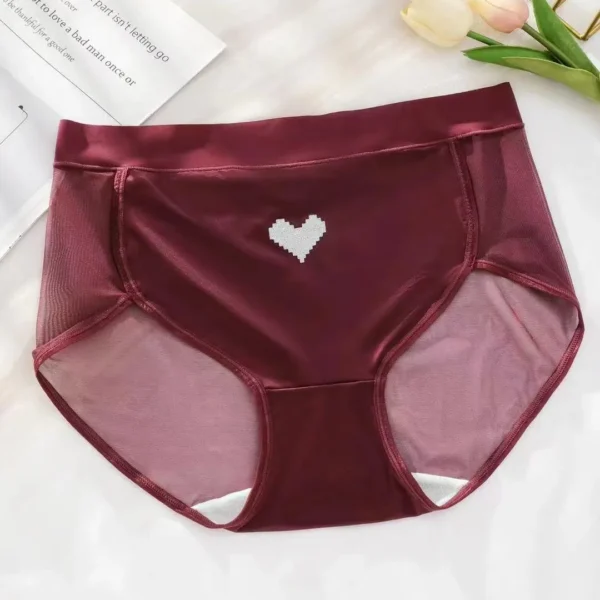 Sexy Mesh Hearts Panties for Women, Plus Size Briefs, Underpants for Weight 100kg - Image 10